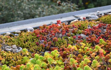 the cost of Voy green roof installation