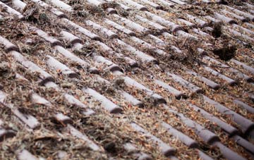 Voy roof cleaning companies