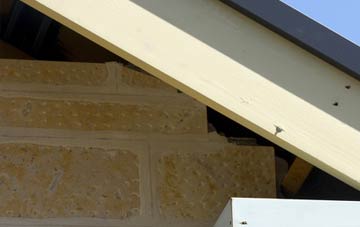 soffit repair Voy